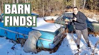 We Scrapped all the Scrap Metal on a Farm! - Estate Sale Cleanup