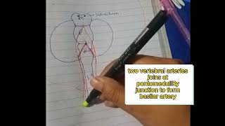 circle of whillis part-1| neurology lectures|Fcps part-1 preparation forum|USMLE lectures