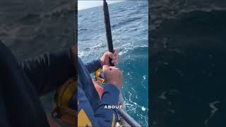 #fishing #fishingvideo #seafishing #shorts