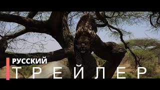 ХИЩНИКИ | Русский трейлер (фильм 2021)