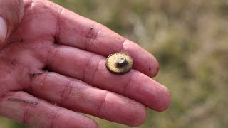 We Found GOLD!! MY first time ever metal detecting!