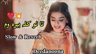 Pashto New Songs 2023 (Slowed+Reverb) Pashto love song | Sad Song | New Song 2023  @deedanooan