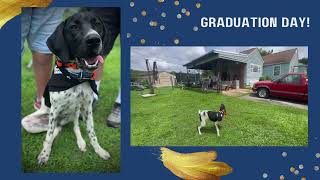 Piper's Good Dog™ Board & Train | Chattanooga TN Dog Training