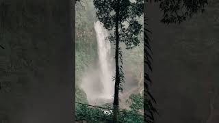 wisata curug cipendok purwokerto #curug #curugindonesia #curugcipendok #explore #wisata #wisataalam