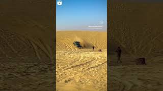 Thar Desert Jeep safari #dream #jaisalmer #desert #safari #sorts