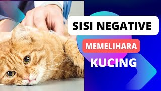 Sisi negatif atau buruk memelihara kucing