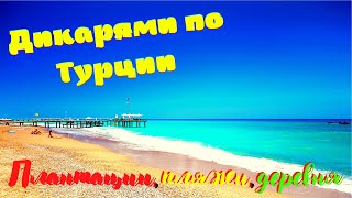 Дикарями по Турции.Плантации,пляжи,деревня