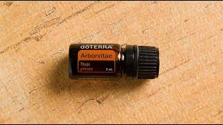 Туя, эфирное масло doTERRA