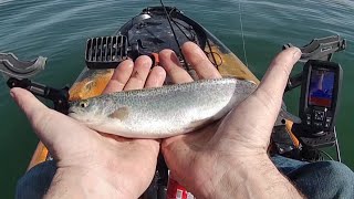 40 minutes of raw and (sort of) uncut fishing, trolling lures with a kayak (hoodoo voyager 100p)