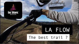 La meilleure piste du Lac Blanc Bike Park ? La Flow et seulement la Flow