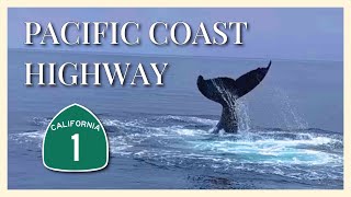 Pacific Coast Highway (Hwy 1) Santa Barbara, Madonna Inn, Monterey - California Road Trip - Part Six