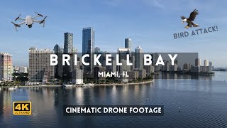 Brickell Bay (with a Bird trying to attack the drone!) [Cinematic Miami Drone Footage in 4k]