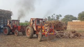 Belarus 510 tractor sugar loading at Villa help rusi tractor back is bumper rusi tractor performance