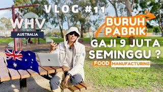 Buruh Pabrik Gaji 9 Juta Seminggu ? WHV Australia VLOG #11