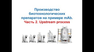 Upstream process. Производство mAb. Часть 2