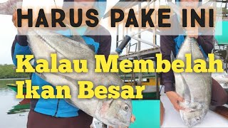 Cara Membersihkan Ikan Besar Dengan Mudah