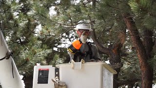 How MVEA’s Tree Trimming Practices Keep Our Community Energized