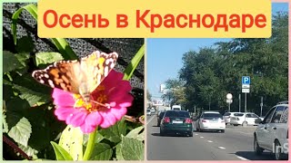 Тёплая 🍁осень🍁 в Краснодаре октябрь 2022 Переезд в Краснодар