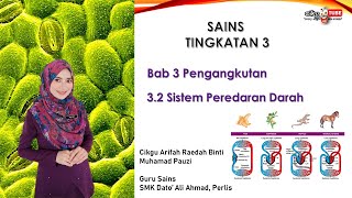 Sains Tingkatan 3 | Bab 3 Pengangkutan | 3.2 Sistem Peredaran Darah