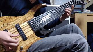 After The Burial - Neo Seoul (Intro Bass Cover)