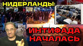 Нидерланды: интифада началась | Новости 7-40, 12.11.2024