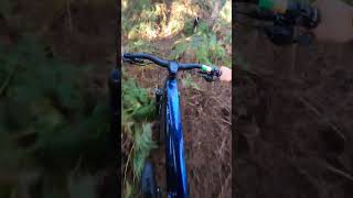 chill line down the hill #mtb #sick #viral #bike #steezy #mtb4life #epic #dirt