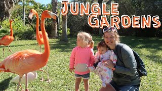 Sarasota Jungle Gardens!!