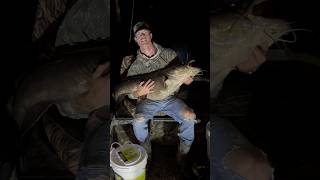 Big Ole Cat!!  #catfish #catfishing #goodtimes #boating #outdoors