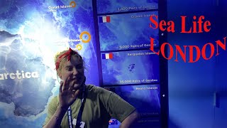 SEA LIFE London Aquarium Complete Walk 2021 | Urdu Vlog | Part 2 || Waqar Hassan