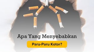 Apa Yang Menyebabkan Paru-Paru Kotor?