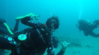 DIVING in PONTA DO OURO: Mozambique & South Africa Border