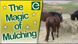 Horses and the Magic of Mulching - A VERY SIMPLE WAY TO IMPROVE YOUR LAND