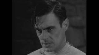 Crazy am I...? (Frankenstein 1931)