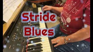 Stride Blues by Leslie Larson Andrus