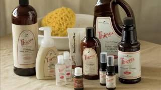 An Introduction to Young Living Essential Oils