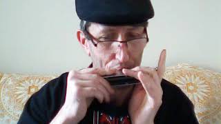 Katerino momé Катерино моме chromatic harmonica