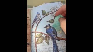 All About Birds - First swap on Junk Journal Junkies on Facebook.