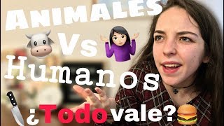 🐷Qué dice la Iglesia sobre el MALTRATO ANIMAL🍖 │CRUELDAD animal