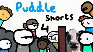 puddle shorts 4