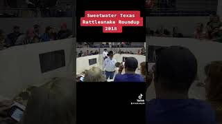 #texas #sweetwater Sweetwater Rattlesnake Roundup 2018