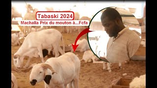 Du jamais vu! Prix du mouton chez Maley Diongue à...Fcfa "Kép Kou Gneuw Golf Sud Dinga "Tabaski 2024