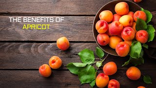 Benefits of Apricot | #shorts