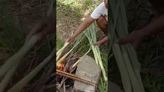 Tobu ikan #shorts #short #tebu #petani #makan #makanan #makananenak #forest #farmer #health #wow