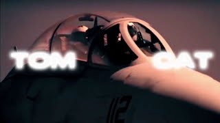 F-14 'Tomcat' edit