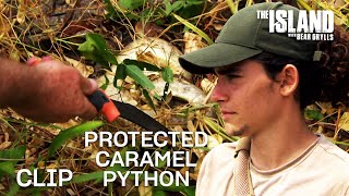 Caramel Python Kill | The Island with Bear Grylls