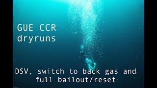 Field drill of switch to back gas and full bailout/reset with a DSV on a GUE CCR