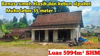 Jual tanah luas bonus rumah klasik dan pohon alpukat muka tanah 35 meter