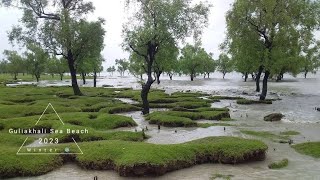 Short Trip To Guliakhali Beach | Sitakund