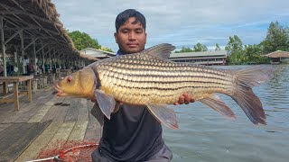 Julian carp | Thailand fishing | Bangkok vlogs | Bungsamran lake | บึงสำราญ