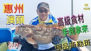 【香港釣魚】《惠州澳頭釣遊~高級食材手到拿來》(cc有翻譯字幕)